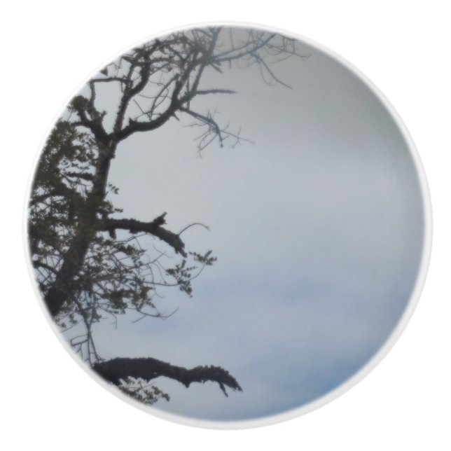 BOUTON DE PORTE EN CÉRAMIQUE CONCEPTION DE STYLE CÉRAMIQUE DE PORTE (Devant)