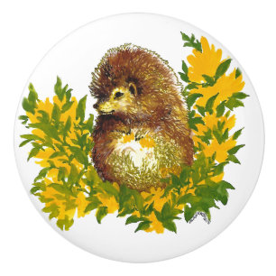 Bouton De Porte En Céramique Copie mignonne de fantaisie d'aquarelle de