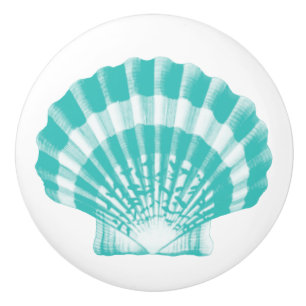 Bouton De Porte En Céramique Coquillage - aqua doux et blanc