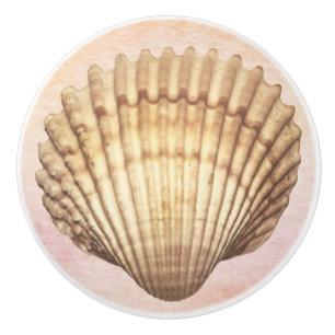Bouton De Porte En Céramique Coquillage d'aquarelle Cute nautique arrière - pla