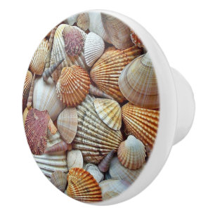 Bouton De Porte En Céramique Coquillages