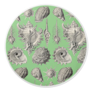 Bouton De Porte En Céramique Coquillages Coquilles de mer nautiques Vert menthe