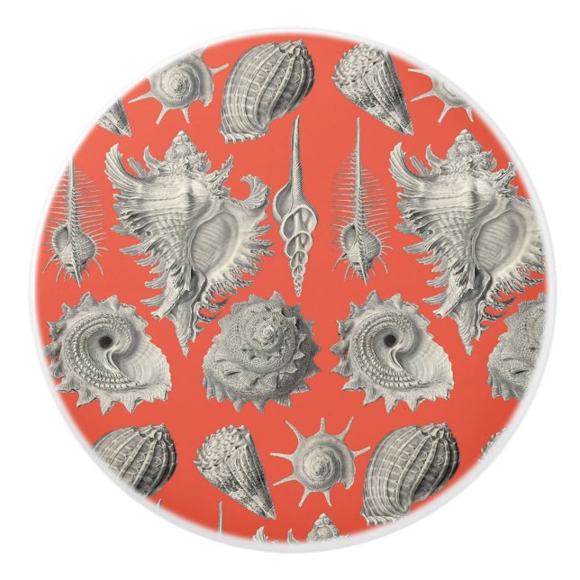 Bouton De Porte En Céramique Coquillages Plage Nautique Coques Blanches (Devant)