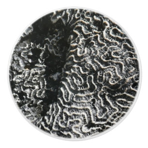 Bouton De Porte En Céramique Corail noir et blanc I Abstrait Nature Photo