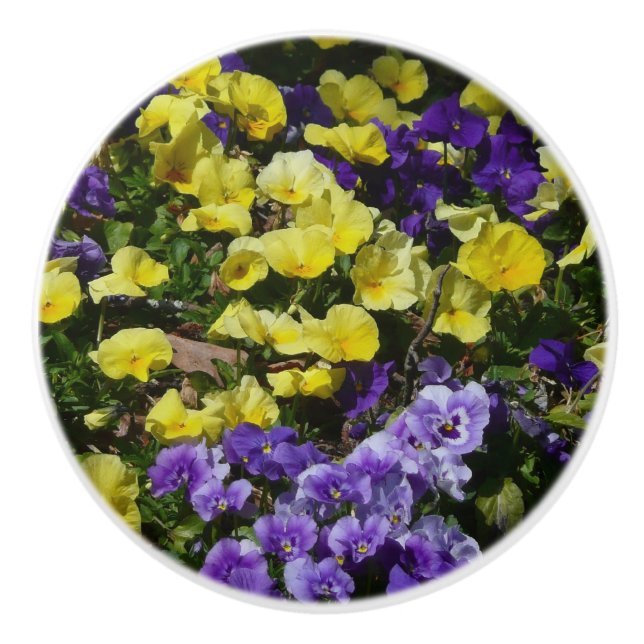 Bouton De Porte En Céramique Coteau de panneaux violets et jaunes (Devant)