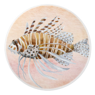 Bouton De Porte En Céramique Couleur d'eau mignonne peinture marine série