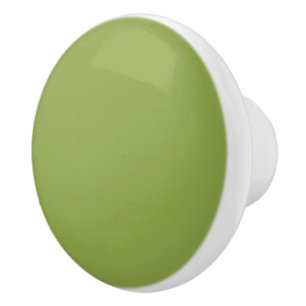 Bouton De Porte En Céramique Couleur solide verte à citron vert moyen