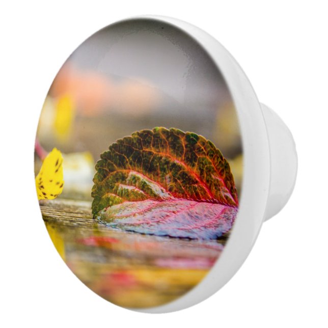Bouton De Porte En Céramique Couleurs d'automne (Droite)