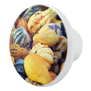 Bouton De Porte En Céramique Courges Colorées de Près