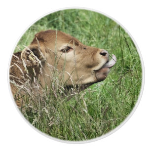 Bouton De Porte En Céramique COW Cute