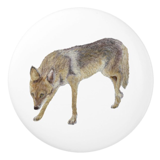 Bouton De Porte En Céramique Coyote (Devant)