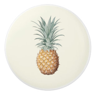 Bouton De Porte En Céramique Crème d'ananas vintage