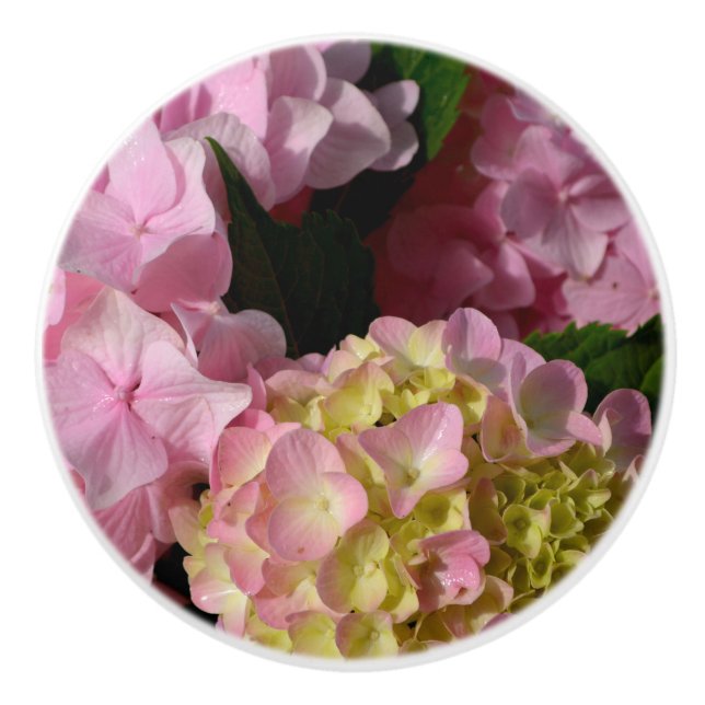 Bouton De Porte En Céramique Crème rose Hydrangeas jaune rose vert floral (Devant)