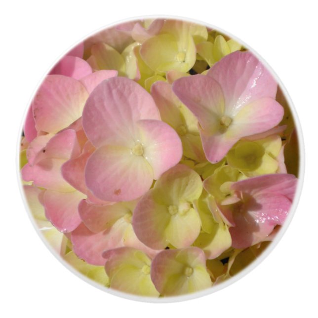 Bouton De Porte En Céramique Crème rose Hydrangeas jaune rose vert floral (Devant)