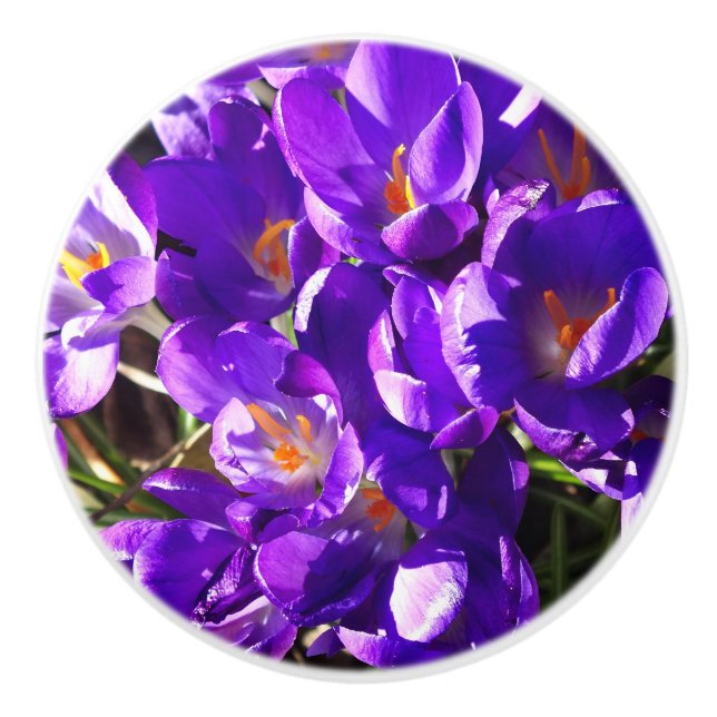 BOUTON DE PORTE EN CÉRAMIQUE CROCUS DE PRINTEMPS (Devant)