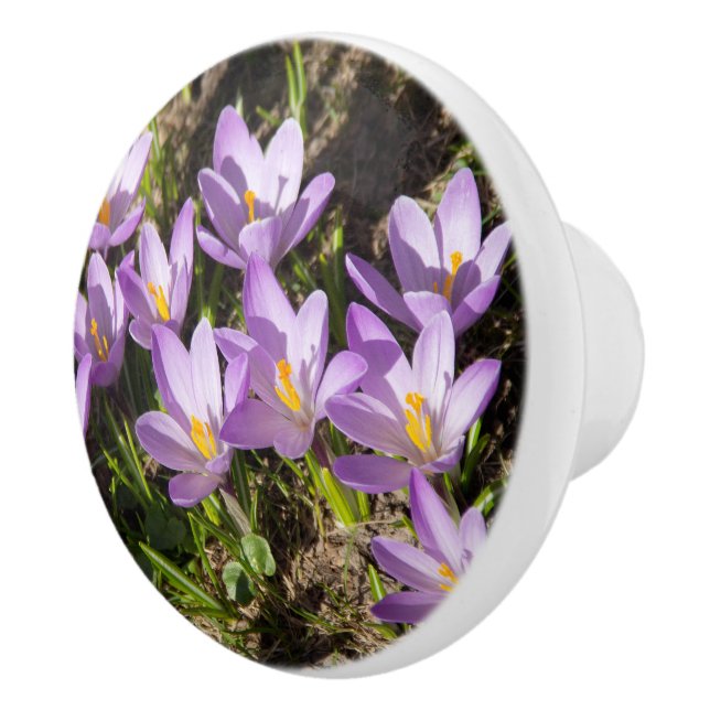 Bouton De Porte En Céramique Crocus de printemps mignons (Droite)
