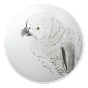 Bouton De Porte En Céramique Curieux M. Feathers Pet Parrot
