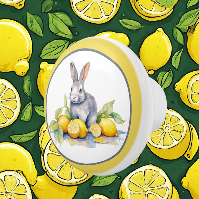 Bouton De Porte En Céramique Cute citron lapin amoureux cuisine (Créateur téléchargé)