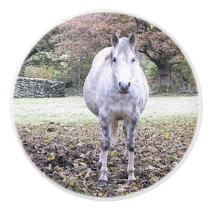 BOUTON DE PORTE EN CÉRAMIQUE CUTE HORSE  