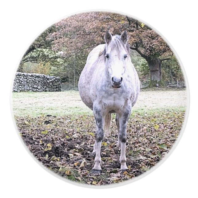 BOUTON DE PORTE EN CÉRAMIQUE CUTE HORSE   (Devant)