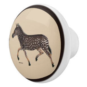 Bouton De Porte En Céramique Cute Polka Dot Zebra Ceramic Knob