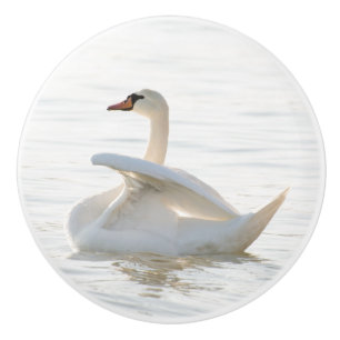 Bouton De Porte En Céramique Cygnus cygne blanc