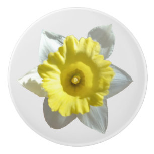 Bouton De Porte En Céramique Daffodique blanc