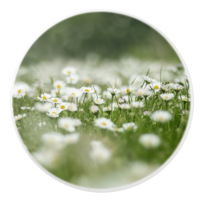 Bouton De Porte En Céramique Daisy Meadow (Devant)