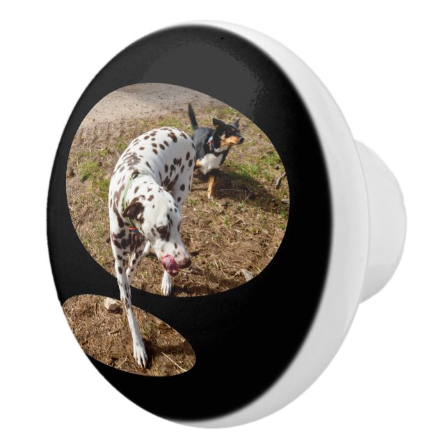 Bouton De Porte En Céramique Dalmatie Popout Art, (Droite)