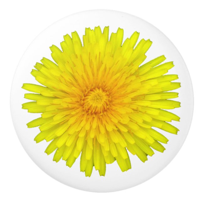 Bouton De Porte En Céramique Dandelion été (Devant)