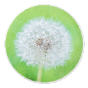 Bouton De Porte En Céramique Dandelion - Juste Réveillé La Beauté