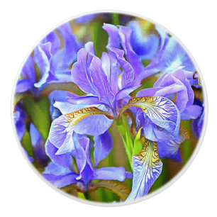 Bouton De Porte En Céramique De belles Irises violettes en mai