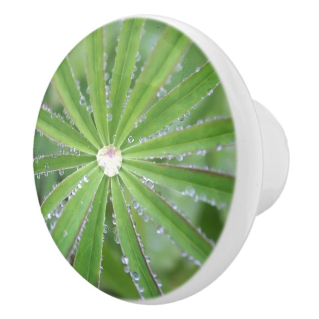 Bouton De Porte En Céramique Déposer (Droite)