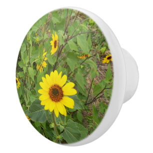 Bouton De Porte En Céramique Des Fleurs De Soleil Fluent Au Vent,