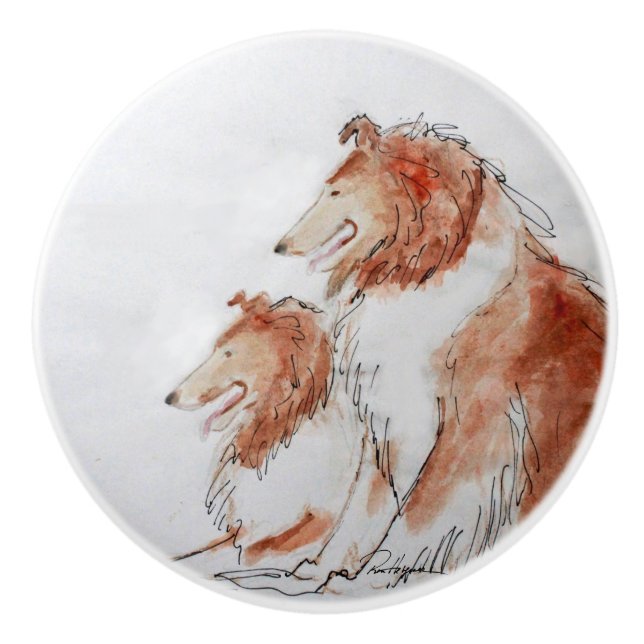 Bouton De Porte En Céramique Double problème (Devant)