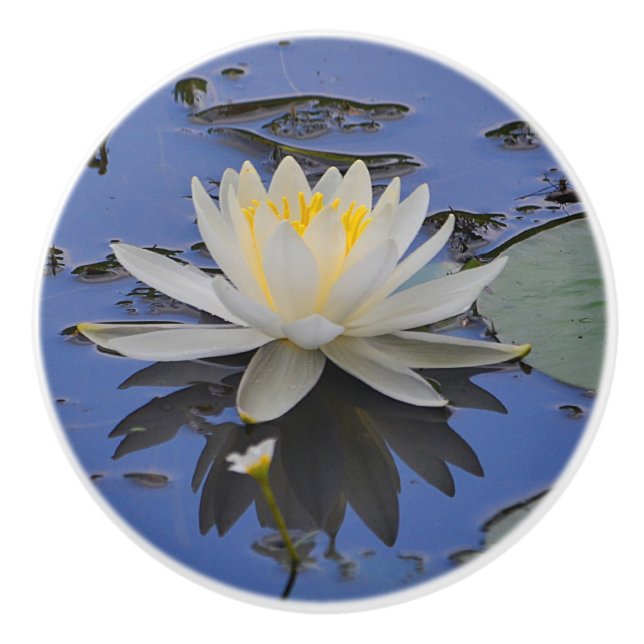 Bouton De Porte En Céramique Eau Lily Ceramic Knob (Devant)