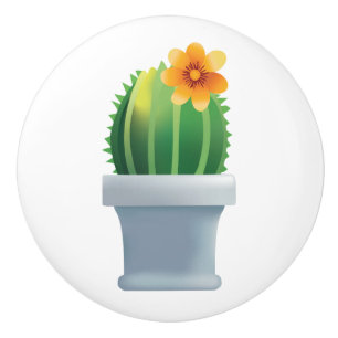 Bouton De Porte En Céramique Echinocactus