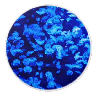 Bouton De Porte En Céramique Écran de méduse