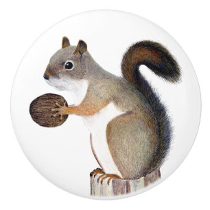 Bouton De Porte En Céramique Écureuil