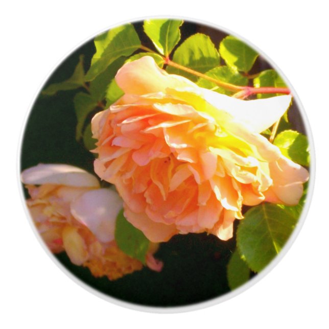Bouton De Porte En Céramique Elégant classique pêche orange rose floral (Devant)