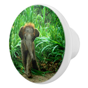 Bouton De Porte En Céramique Éléphant et herbe
