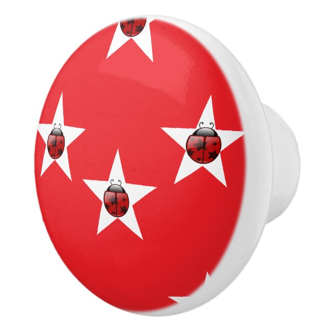 Bouton De Porte En Céramique étoile de Ladybug (Droite)