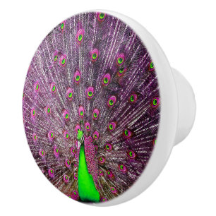 Bouton De Porte En Céramique Étonnant Peacock Violet Et Vert,