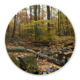 Bouton De Porte En Céramique Fall Creek avec réflexion à Laurel Hill Park