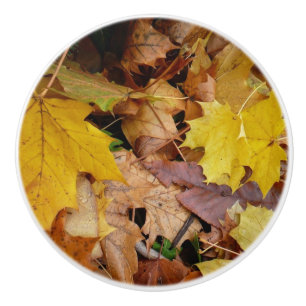 Bouton De Porte En Céramique Fallen Maple Feuille Jaune Automne Nature