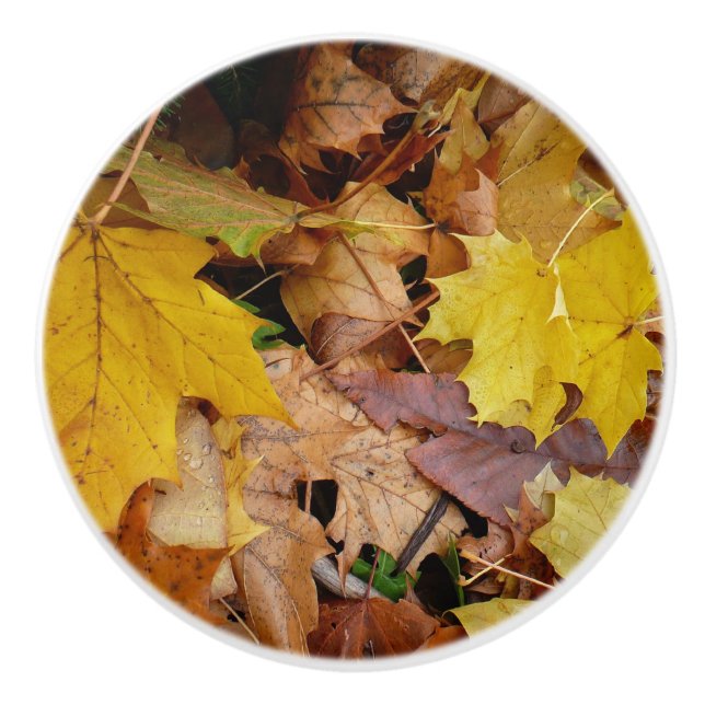 Bouton De Porte En Céramique Fallen Maple Feuille Jaune Automne Nature (Devant)