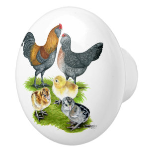 Bouton De Porte En Céramique Famille de poules Ameraucana