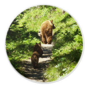 Bouton De Porte En Céramique Famille d'ours brun