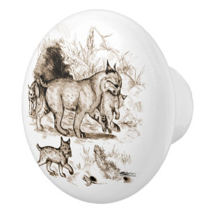 Bouton De Porte En Céramique Famille du Lynx roux