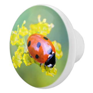 Bouton De Porte En Céramique femme au sommet